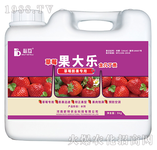 草莓膨果專用肥-果大樂-歐特農(nóng)業(yè)