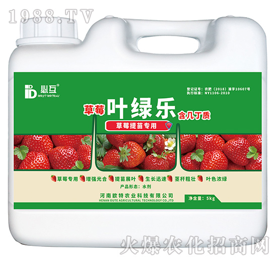 草莓提苗專用肥-葉綠樂-歐特農(nóng)業(yè)