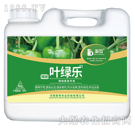 辣椒提苗專用肥-葉綠樂-歐特農(nóng)業(yè)