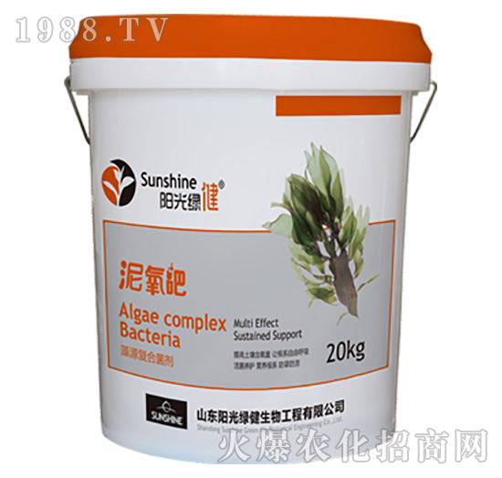 藻源復合菌劑-泥氧吧-陽光綠健