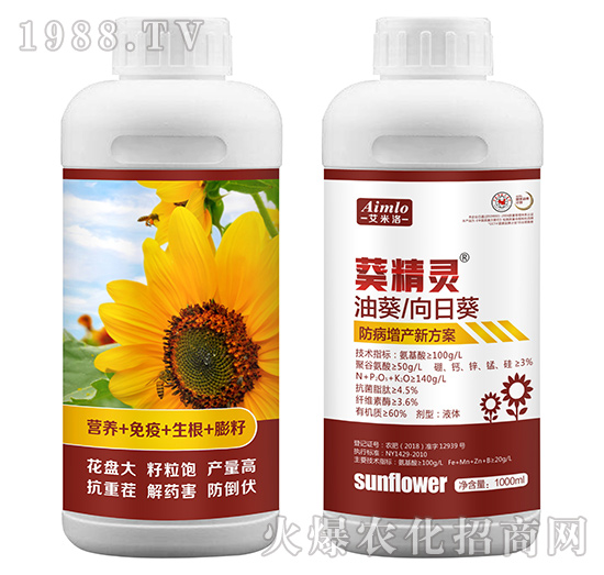油葵/向日葵防病增產(chǎn)新方案-葵籽靈-艾米洛