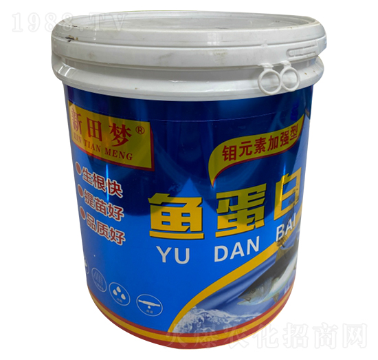 魚蛋白-新田夢(mèng)-新稻香村