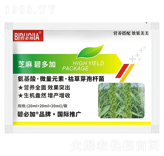 芝麻碧多加-鑫禾生物