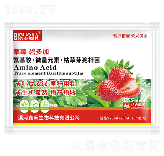 草莓碧多加-鑫禾生物