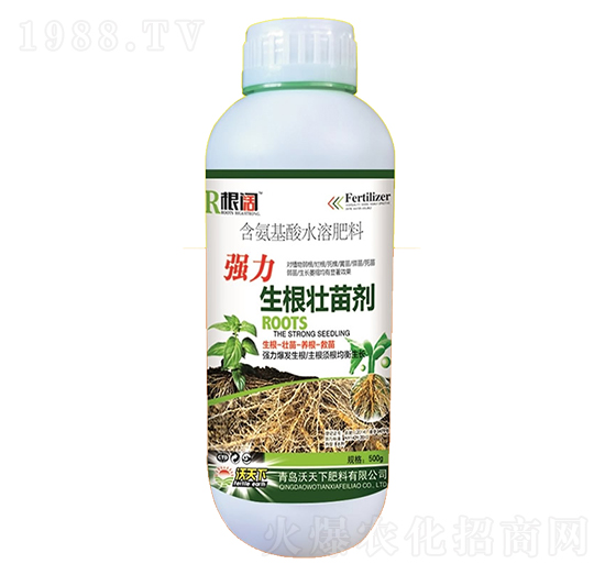 500g�������焩-���-������