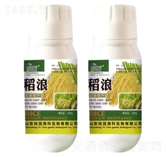 稻浪（抗病增產(chǎn)型）-裕田高科