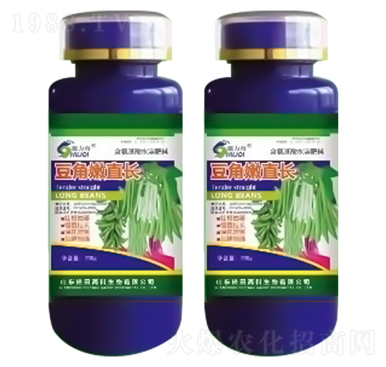豆角嫩直長-施力奇-裕田高科