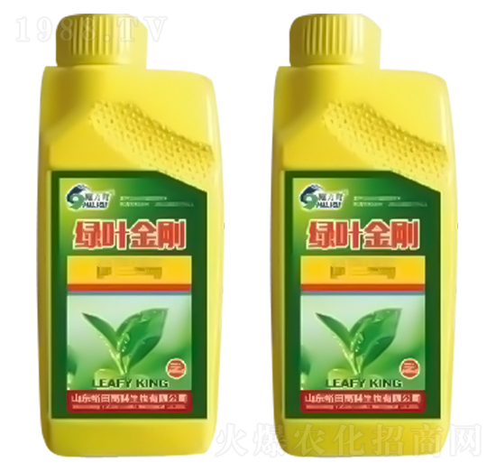 綠葉金剛-施力奇-裕田高科
