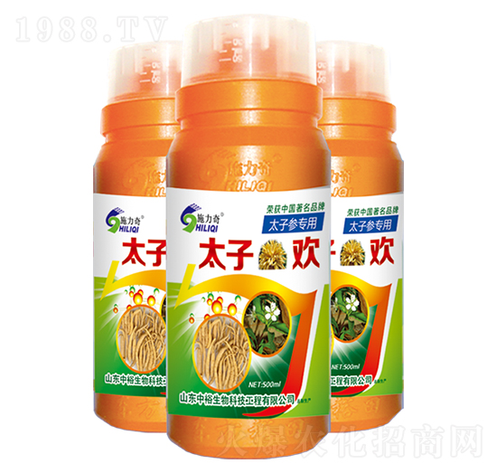 太子歡（太子參專用）-施力奇-裕田高科