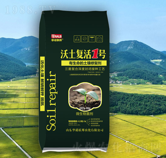 �������������ޏ�(f��)��-������(f��)��1̖(h��o)-�A�Z(li��n)��