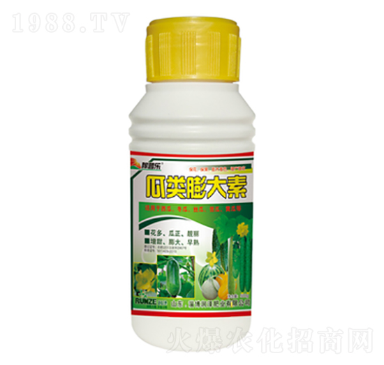 瓜類膨大素-稼普樂-潤澤肥業(yè)