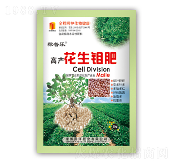高產(chǎn)花生鉬肥-稼普樂(lè)-潤(rùn)澤肥業(yè)
