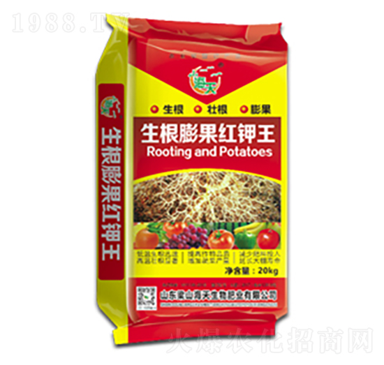 生根膨果紅鉀王-海天生物