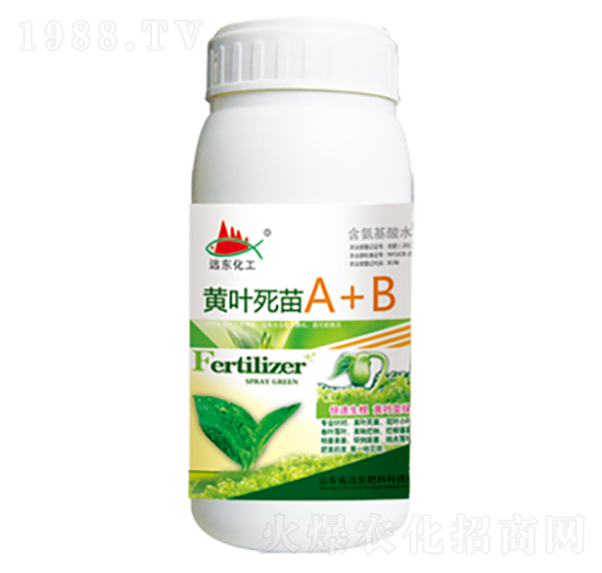 �S�~����A+B-�h�|����