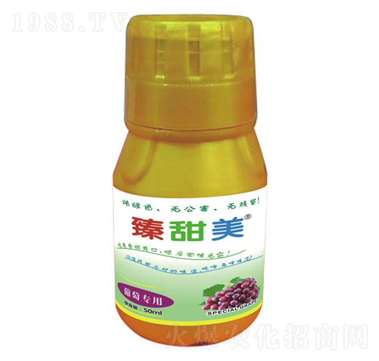 葡萄專用 臻甜美 盛澤坤