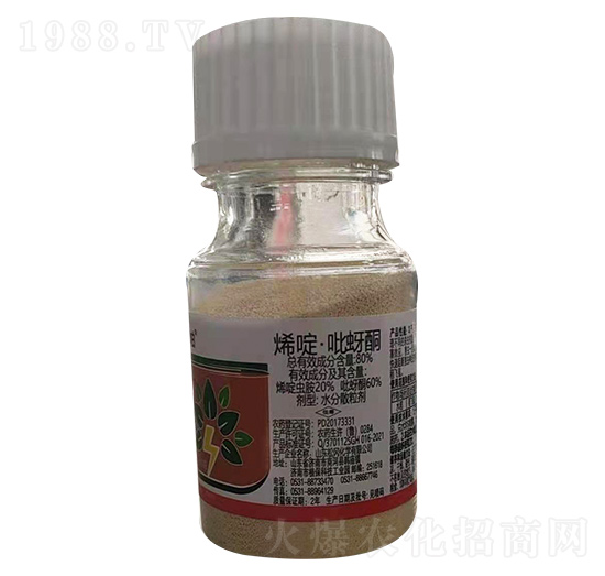 80%ϩड�����ͪ �Ɍ�