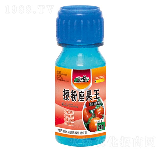 ���t�������ڷ�����������-��(gu��)�����r(n��ng)