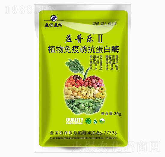 ֲ�������T������ø-���՘�-��������