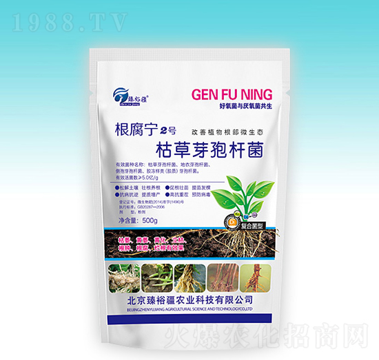 枯草芽孢桿菌-根腐寧2號(hào)-臻裕疆