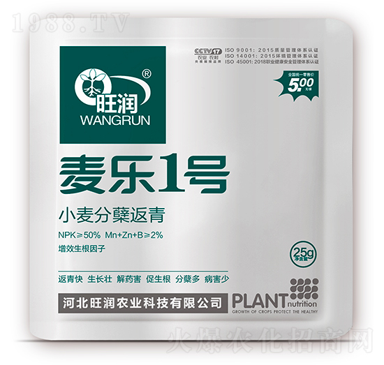 小麥分蘗返青-麥樂1號(hào)-旺潤(rùn)農(nóng)業(yè)