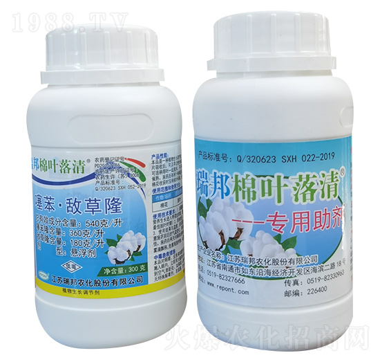 540��ÿ���籽������¡+��������-������~����-���ֻ���