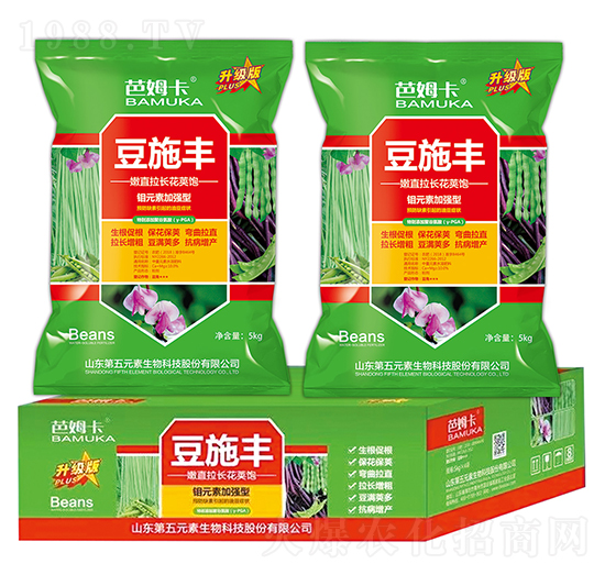 嫩直拉長(zhǎng)花莢飽-豆施豐-第五元素