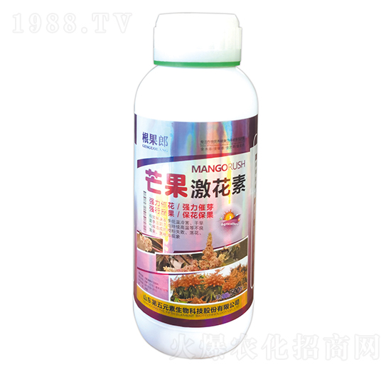 芒果激花素-根果郎-第五元素