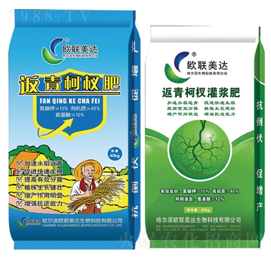 返青柯杈肥-歐聯(lián)美達(dá)