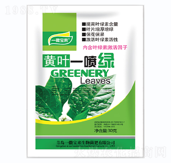 黃葉一噴綠-一撒寶來