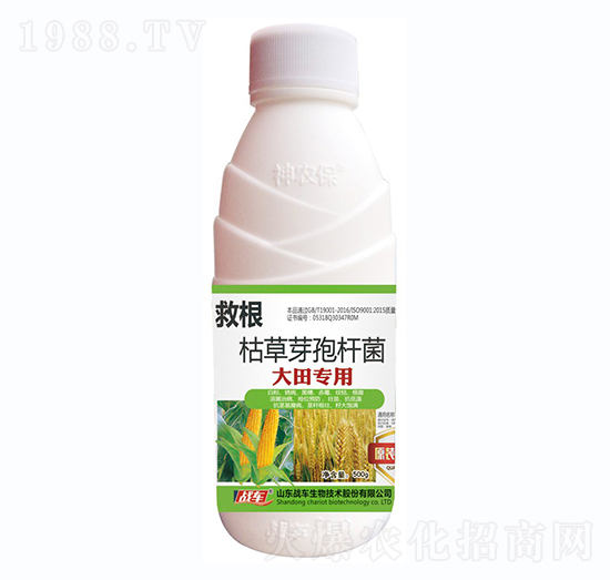 大田專用枯草芽孢桿菌-救根-戰(zhàn)車