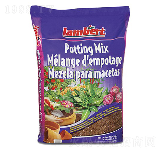 85���m������̿�\-�ָ���