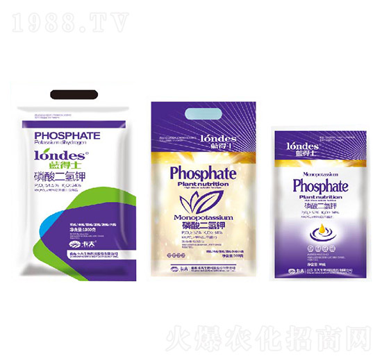 �{(l��n)��ʿ��������-����