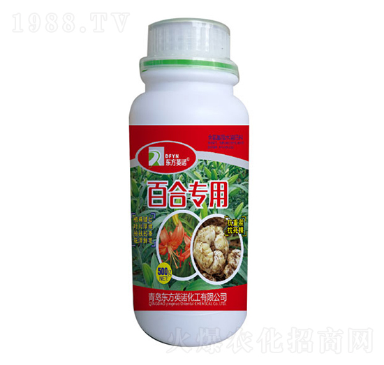 百合專用含氨基酸水溶肥料-東方英諾