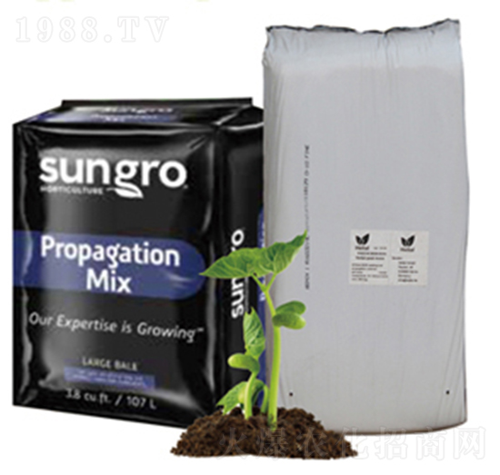 ���|(zh��)��̼-�(y��ng)���ǻ�