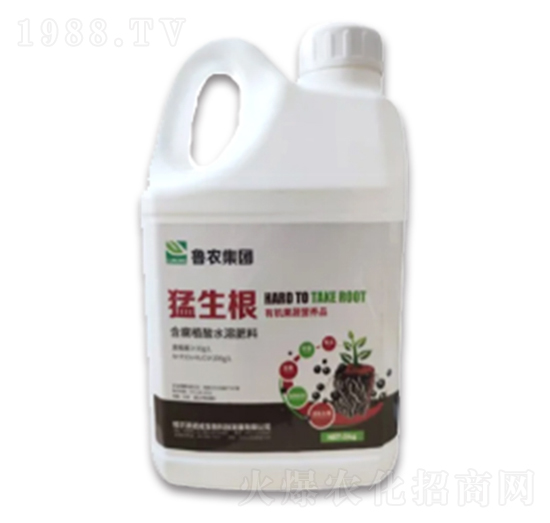 猛生根含腐植酸水溶肥-魯農(nóng)集團(tuán)