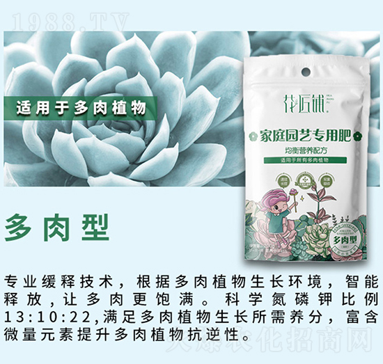 多肉型家庭園藝專用肥-花匠鋪-百鎂