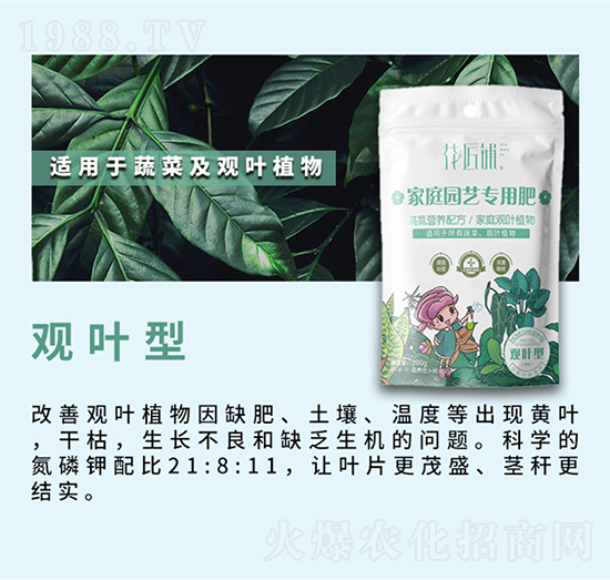 觀葉型家庭園藝專用肥-花匠鋪-百鎂