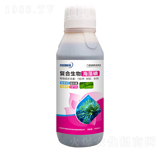 �V�V��ֲ��������-�ͺ����ﺣ���-��������