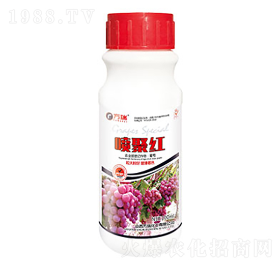 噴聚紅-方瑞