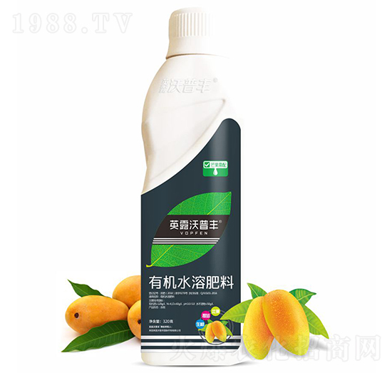 芒果需配有機(jī)水溶肥料-英露沃普豐