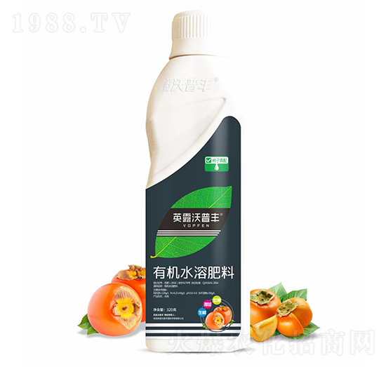 柿子需配有機水溶肥料-英露沃普豐