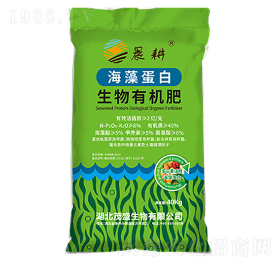 ���嵰�������ЙC(j��)��-ïʢ����