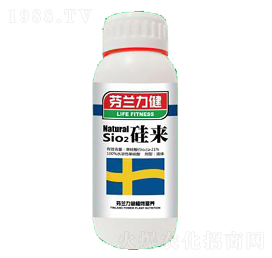 ���(l��i)-����������