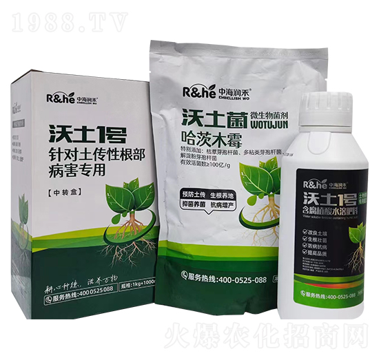 �����Ը���������������1̖(h��o)-�к���(r��n)��