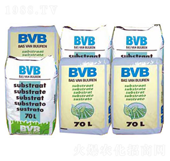 ���N���û��|-BVB-�������r�Q