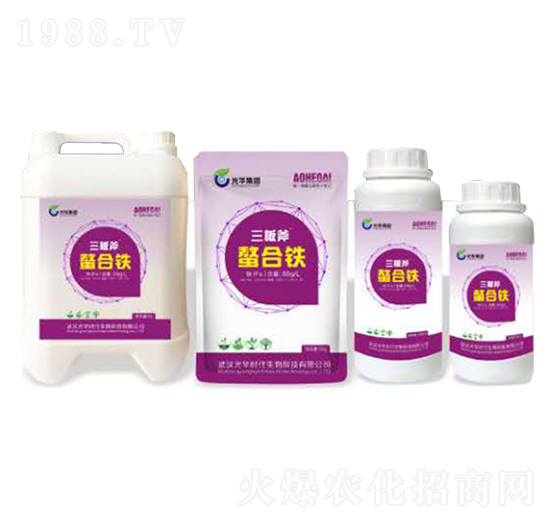 聚谷氨酸螯合鐵水劑-光華時(shí)代