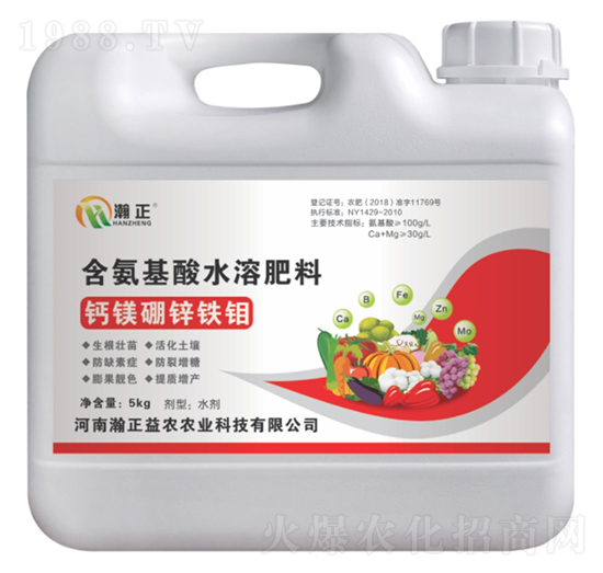 �}�V���\�F�f-������r(n��ng)