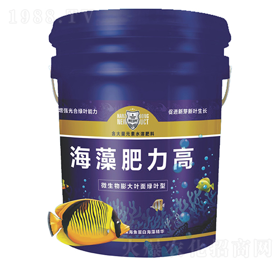 ���������-������r