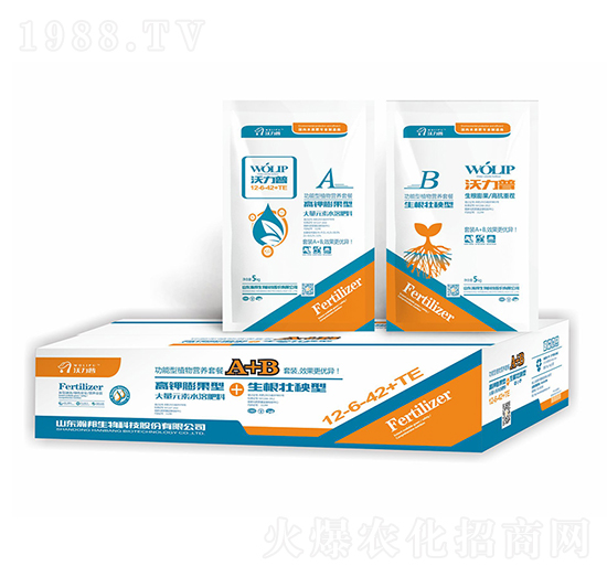 ������ֲ��I�B(y��ng)�ײ�-嫰�����