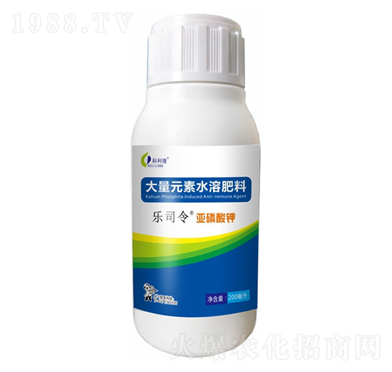 �������-��˾��-����¡����